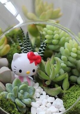 hello kitty cropped