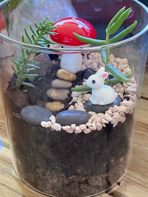 jasmine's Bunny Terrarium